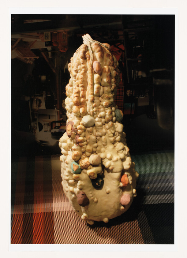 A large bumpy gourd covered with small colorful knobs sits on a patterned table.
