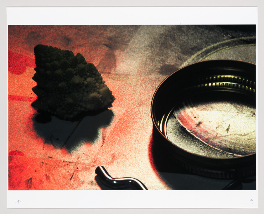 A piece of Romanesco broccoli sits beside a metal jar lid on a red surface.
