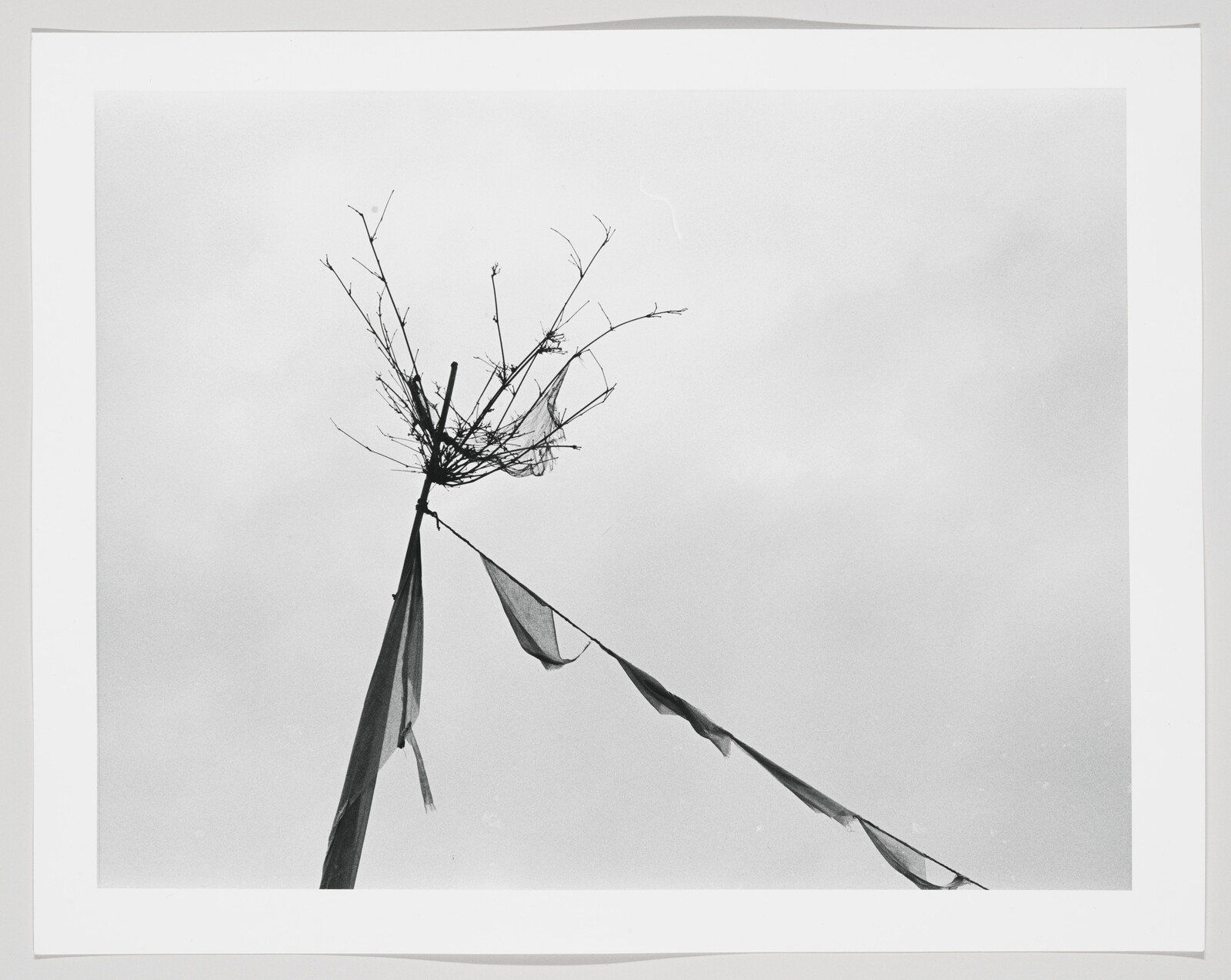 A tall pole topped with a cluster of bare branches and torn triangular flags against a gray sky.