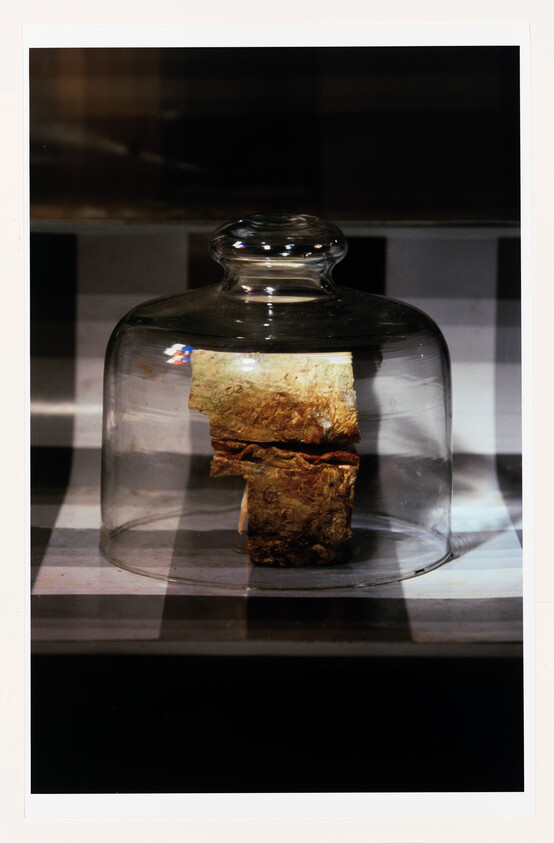 Two rough, layered pieces of bark displayed under a glass cloche on a checkered surface.