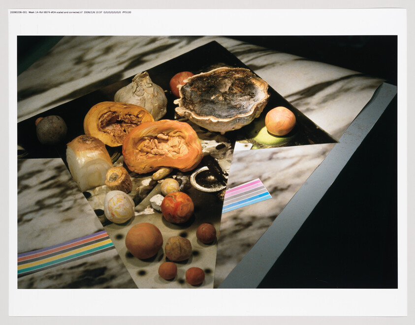 A still life composition featuring a variety of decomposing fruits and vegetables on a marble surface with strong shadow lines, suggesting sunlight coming through blinds. The image includes a partially framed photograph with colorful stripes at the bottom left corner, and the overall scene is captured within a white border.