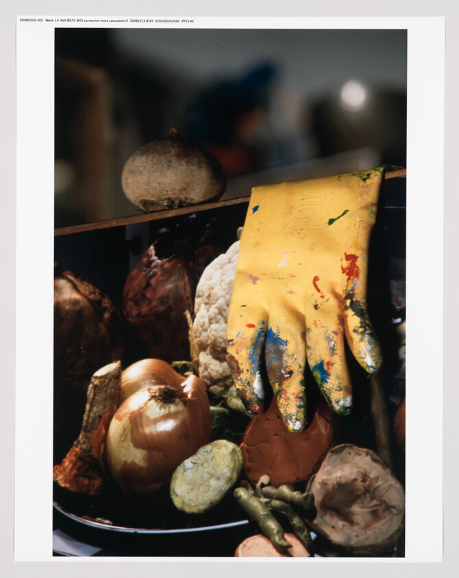 A still life composition featuring a variety of objects that resemble food items, such as a cauliflower, onions, and a pomegranate, alongside a brightly paint-splattered yellow rubber glove, all arranged on a dark tray. The background is blurred with indistinct shapes and colors.