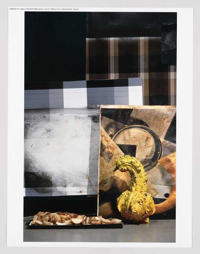 Collage of various textures and objects including a gourd, sliced bread on a tray, and abstract patterns.