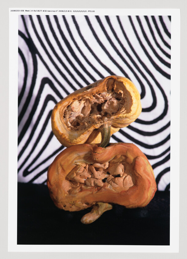 A photograph of two halves of a dried, wrinkled pumpkin with its seeds exposed, set against a backdrop with a black and white wavy line pattern. The image includes a border with printed text and numbers along the bottom edge.