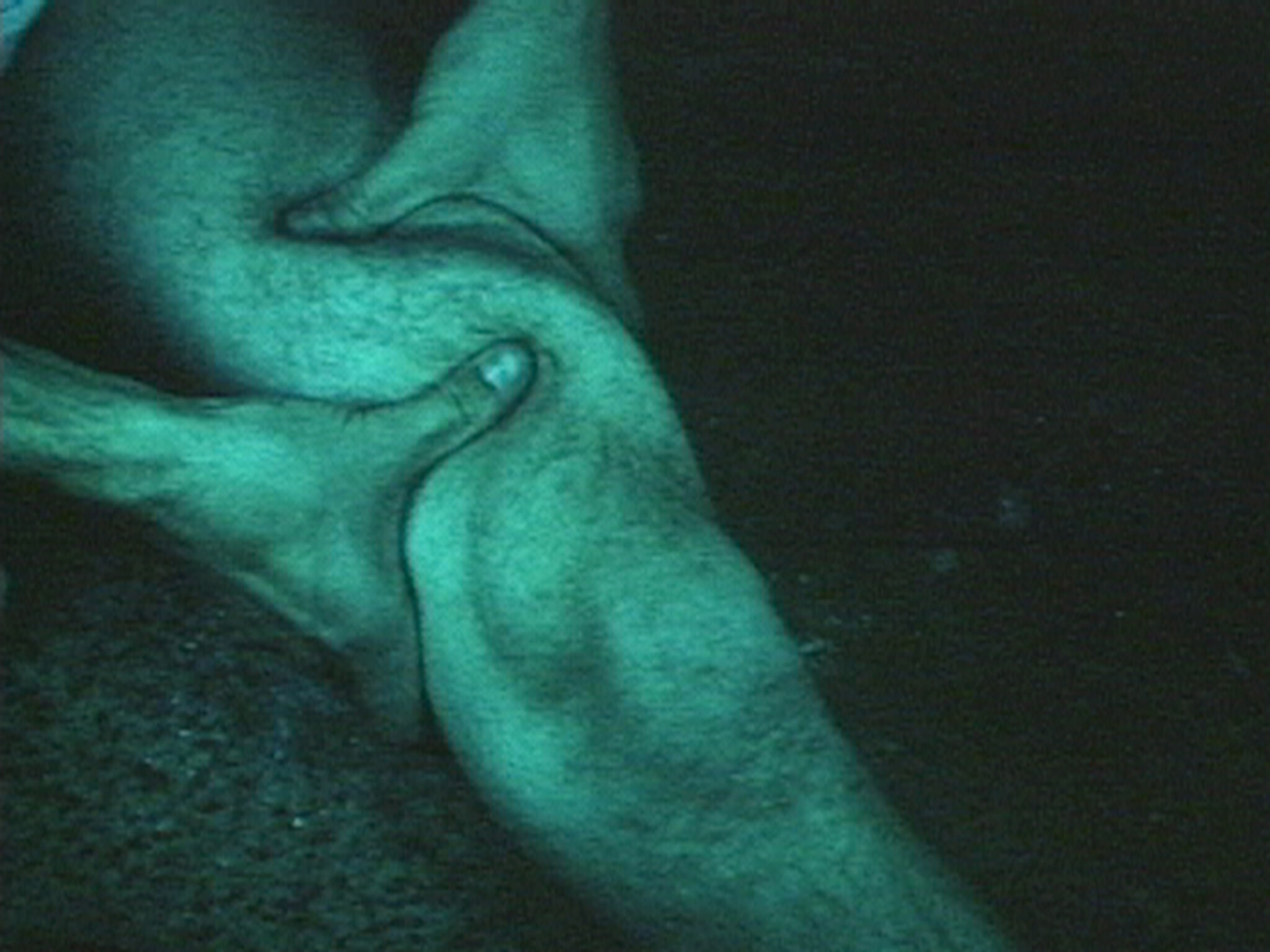 Two hands pressing and massaging a person's lower leg and calf muscles.