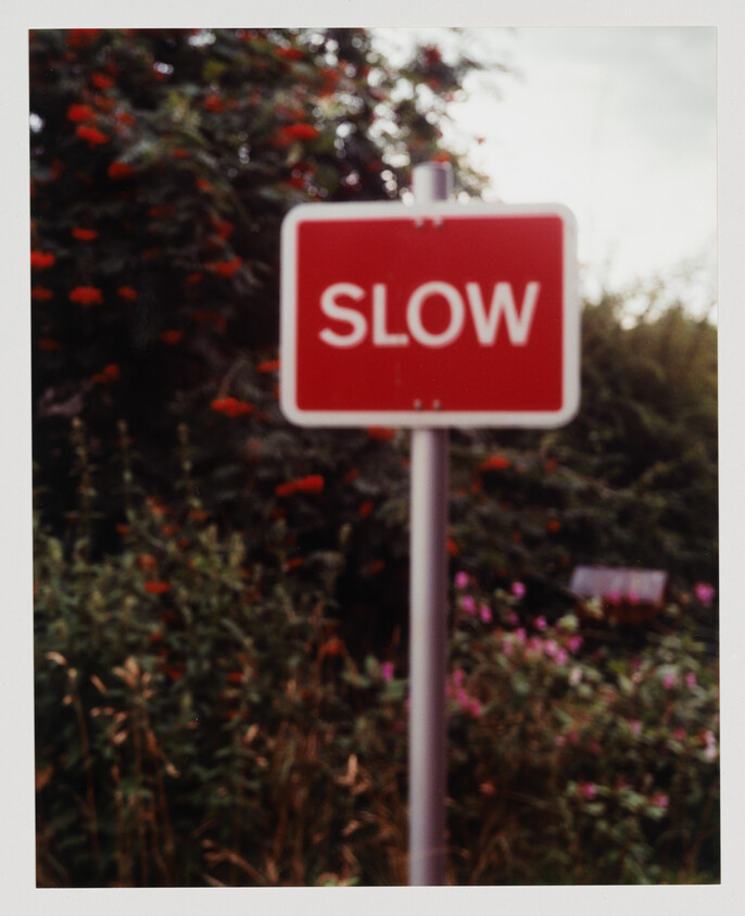 Red sign reading SLOW mounted on a post beside overgrown plants and flowers.