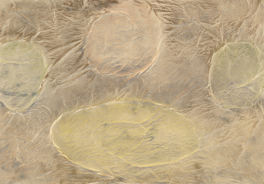 Crinkled metallic foil with four large circular impressions in pale gold and green tones.