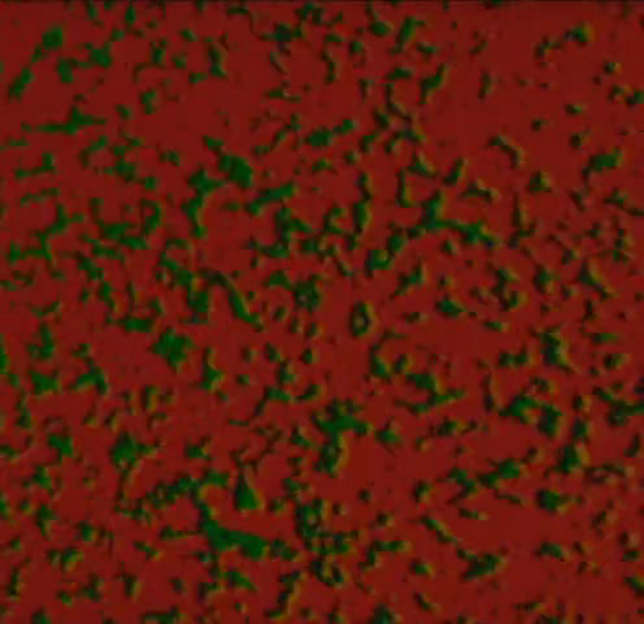 Red surface covered with irregular green speckles forming a mottled texture across the frame.