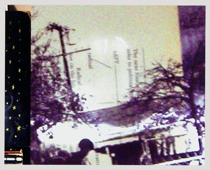 Crowd of people gathered near a building and utility pole with trees lining the street.