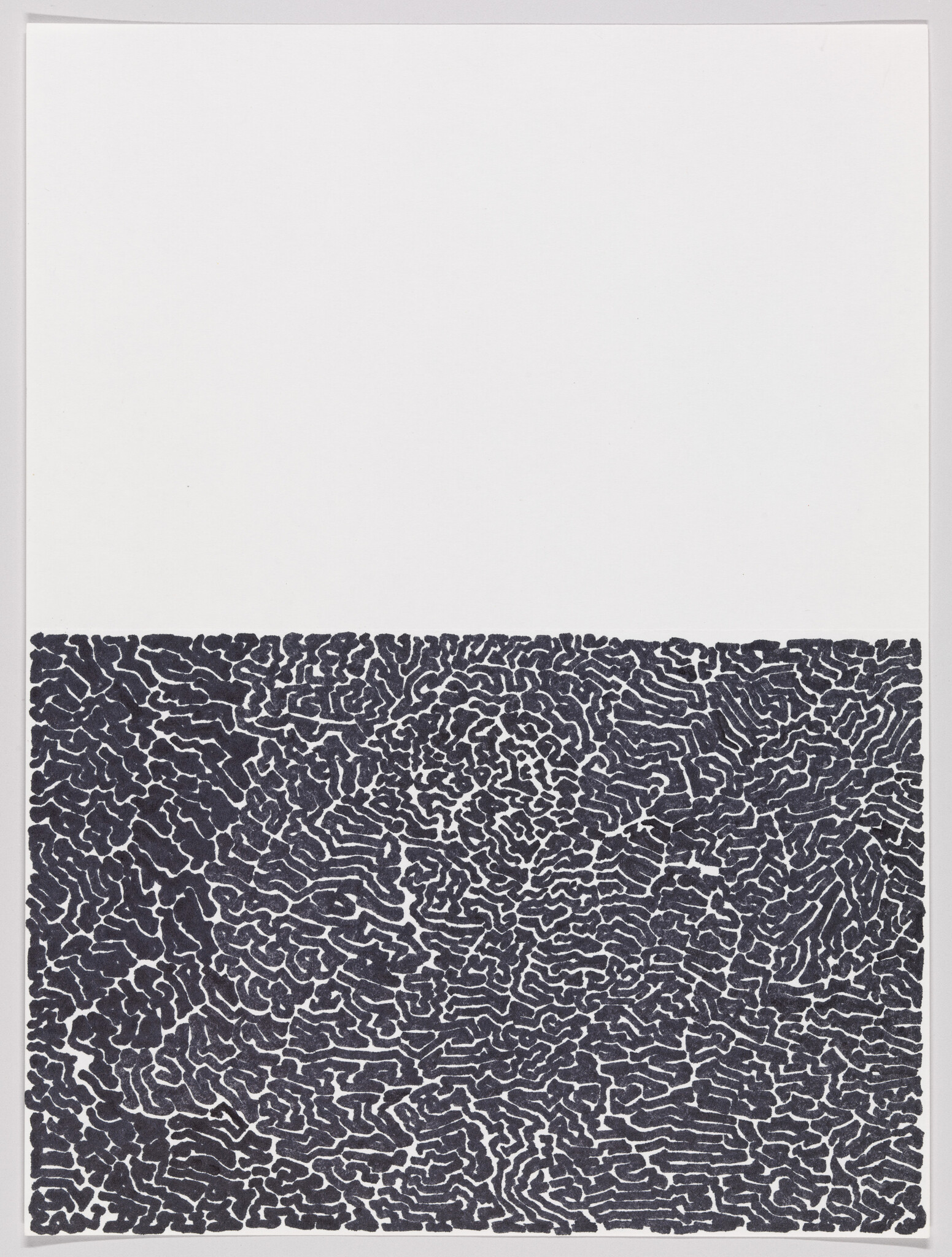 Lower half shows dense black maze-like squiggles against a blank white upper half.