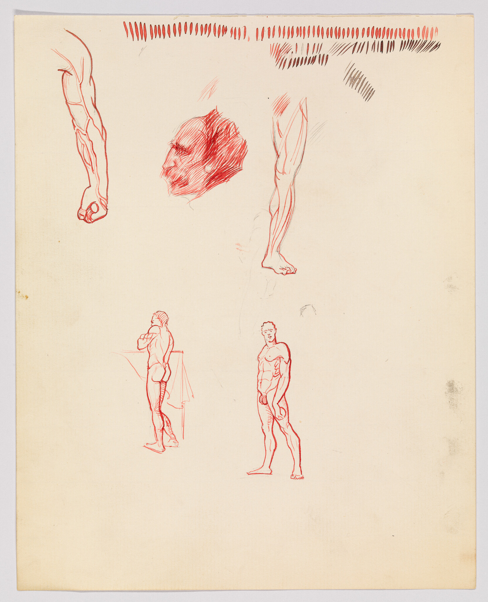 Red ink anatomical sketches showing male standing figures, arms, legs, and a shaded head.