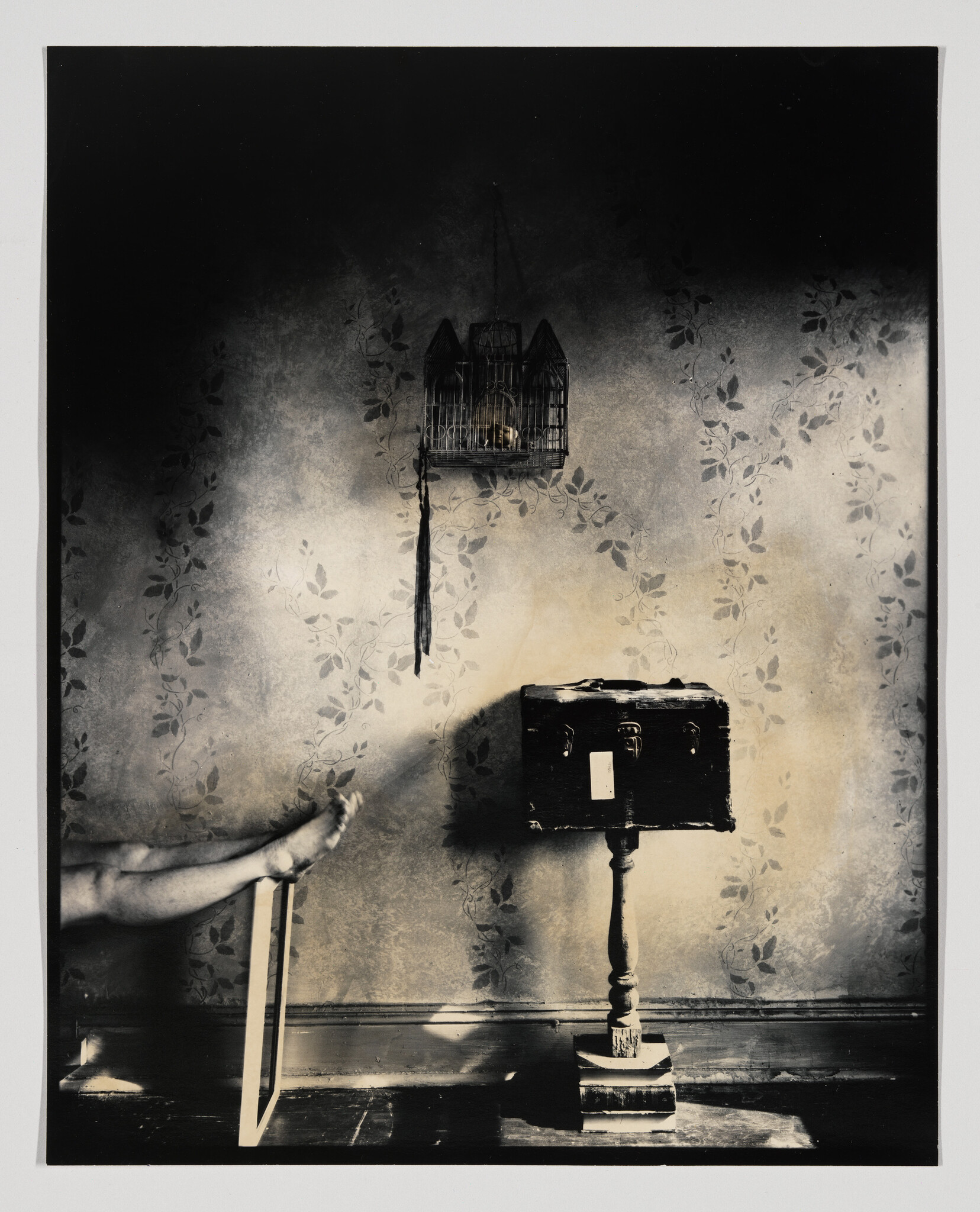 Bare legs rest on a wooden frame while a small birdcage hangs above a trunk on a pedestal.