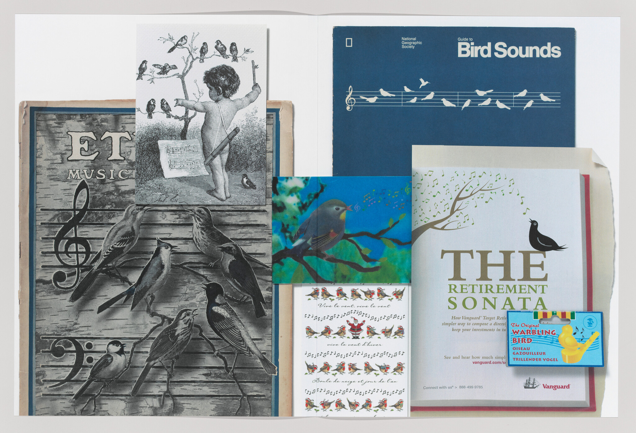 A collage of bird-themed book covers and illustrations, including a guide titled Bird Sounds.