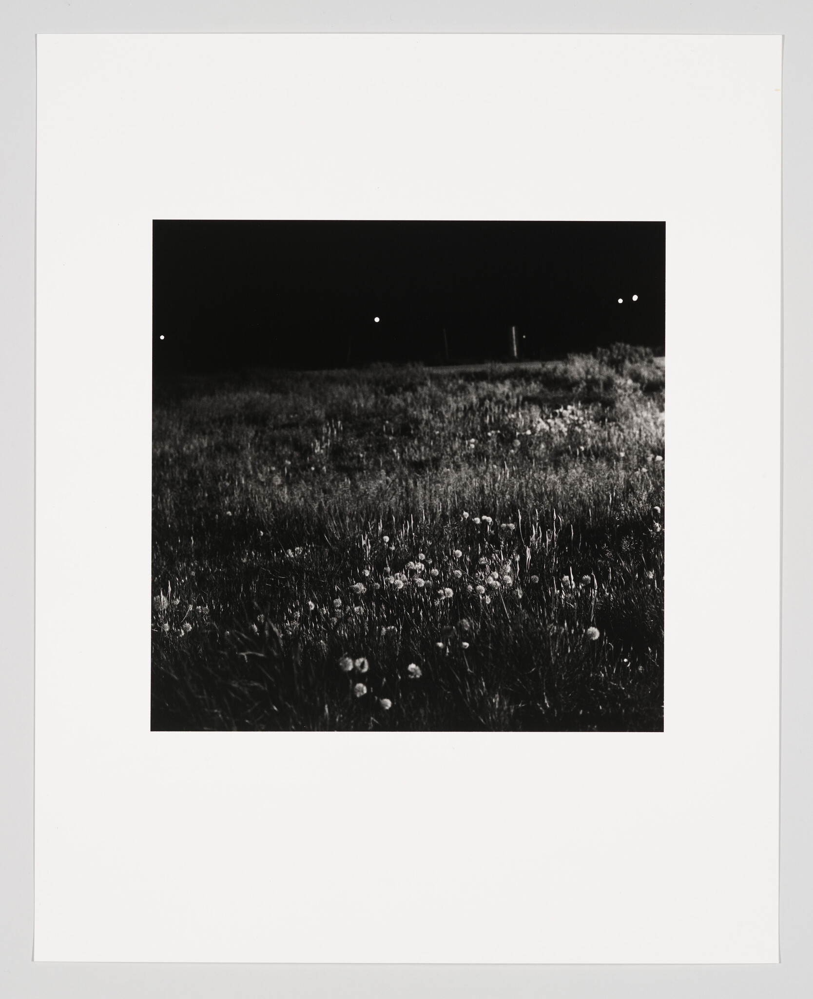 A dark grassy field with scattered dandelions and faint distant lights along the horizon.