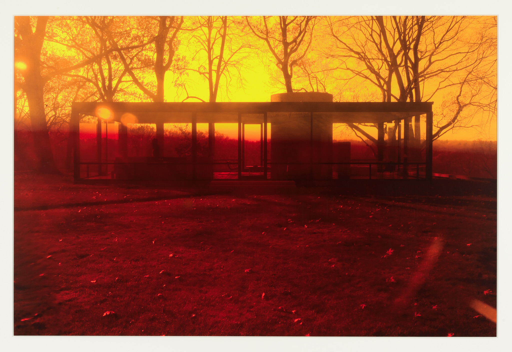Glass pavilion sits on a grassy lawn with bare trees at an intense orange-red sunset.