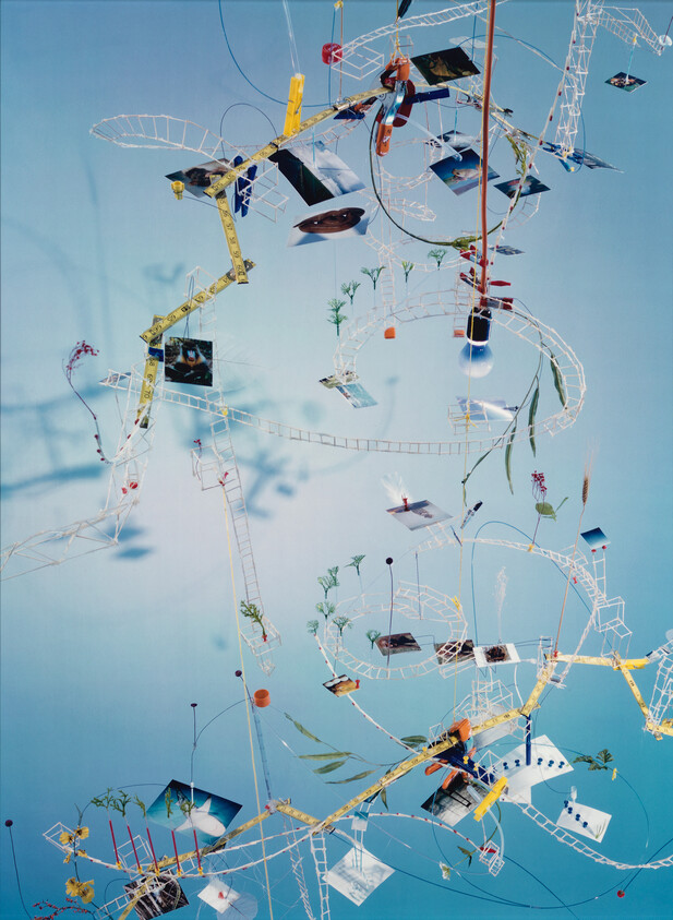 Delicate hanging mobile of wire tracks, photographs, and small plants suspended against a blue background.