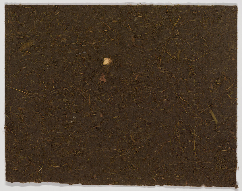 A square panel of dark brown fibrous soil with small roots and plant debris across its surface.