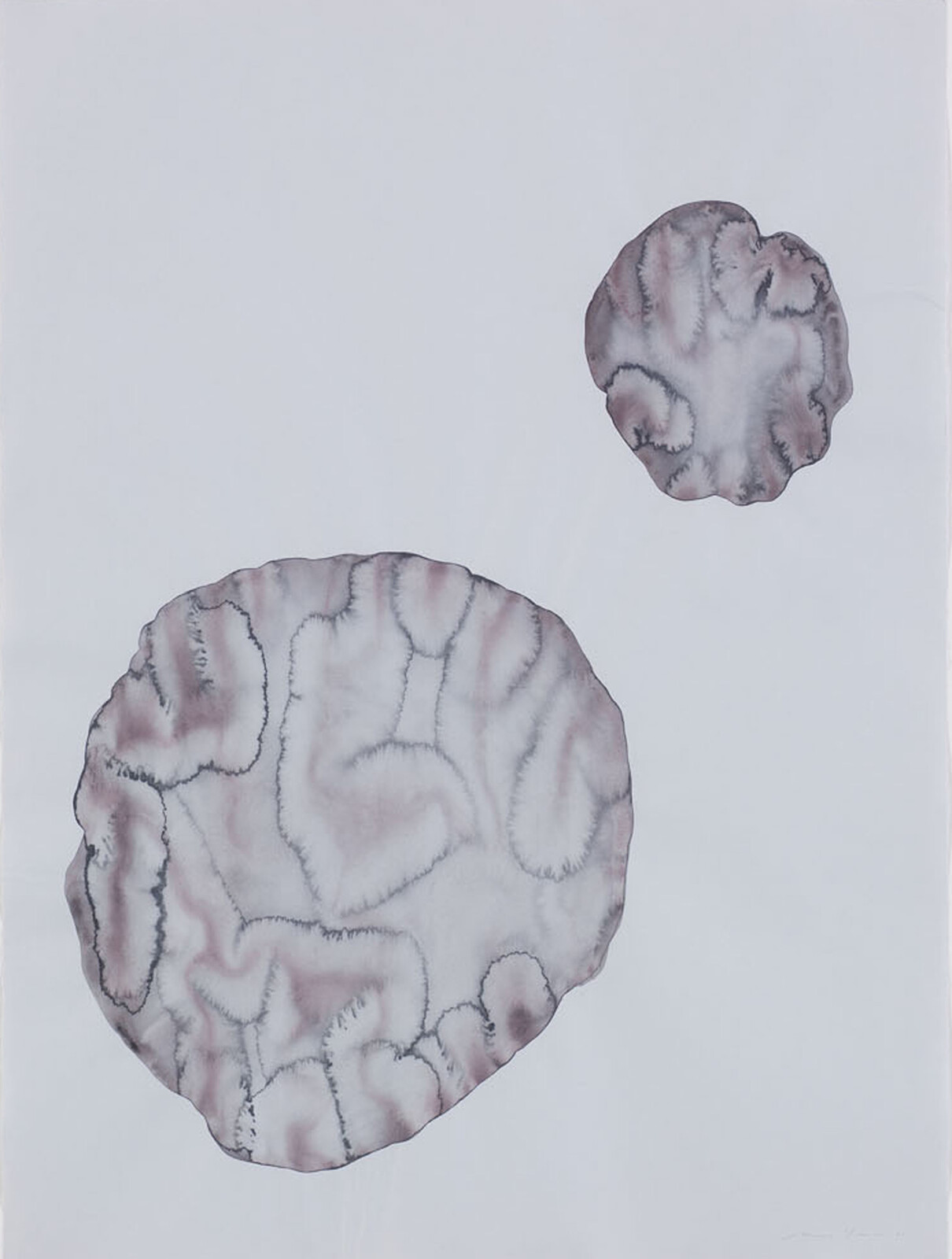Two large watery pink-and-gray circular stains with branching veins float on a white background.