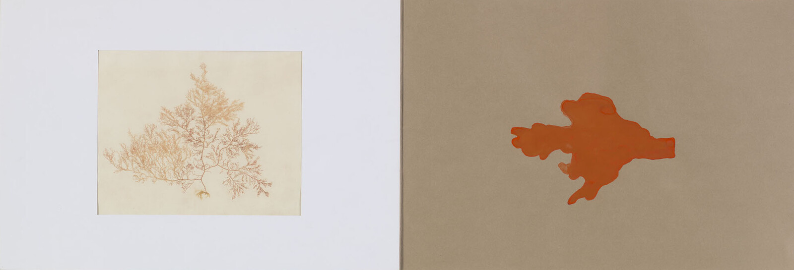 A botanical coral print on the left and an orange abstract shape on a brown panel to the right.