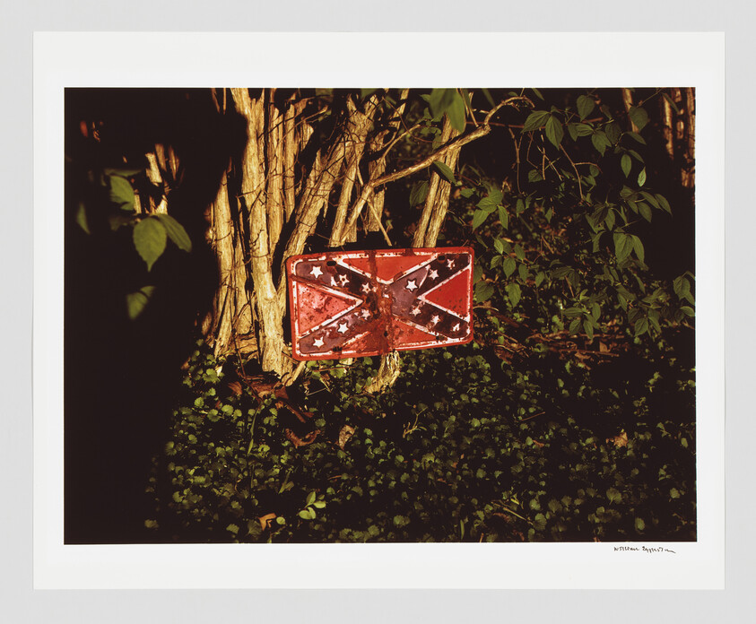Rusty Confederate flag sign mounted on chain beside tree trunks and leafy ground cover.