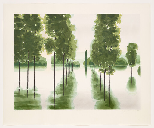 Rows of tall green trees stand along a calm reflective body of water, forming mirror images.