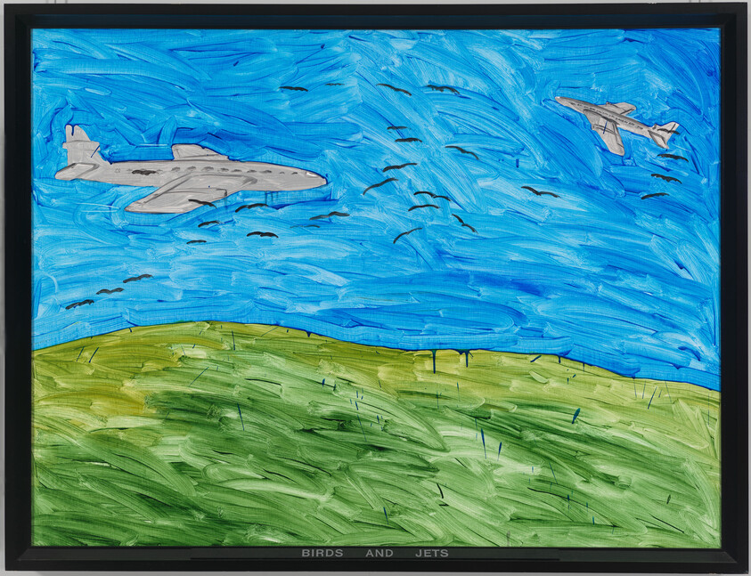 Two jets fly over green hills while birds circle in a bright blue sky, titled "Birds and Jets."