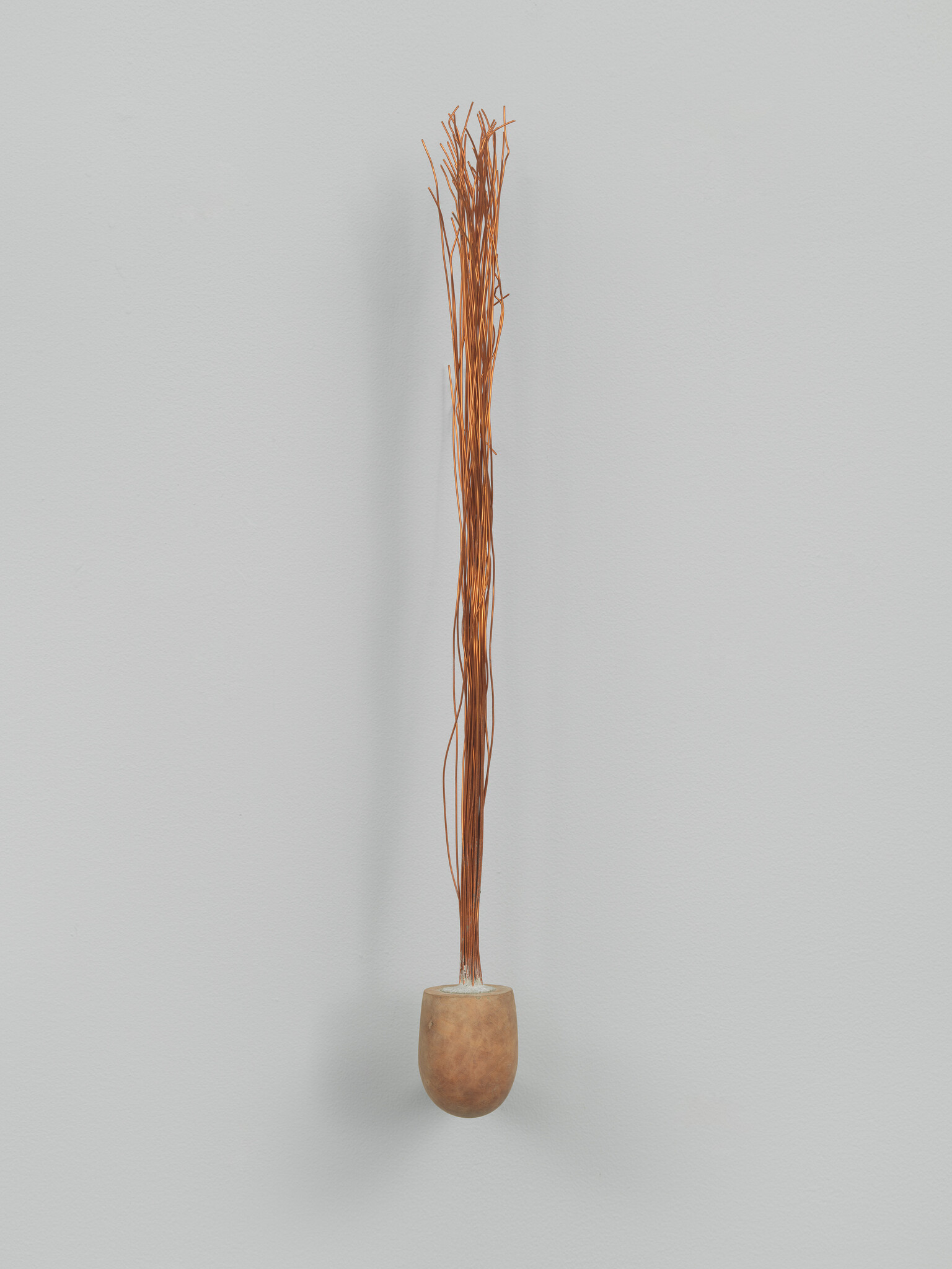 Tall bundle of thin dried twigs stands in a small rounded brown pot against a pale wall.