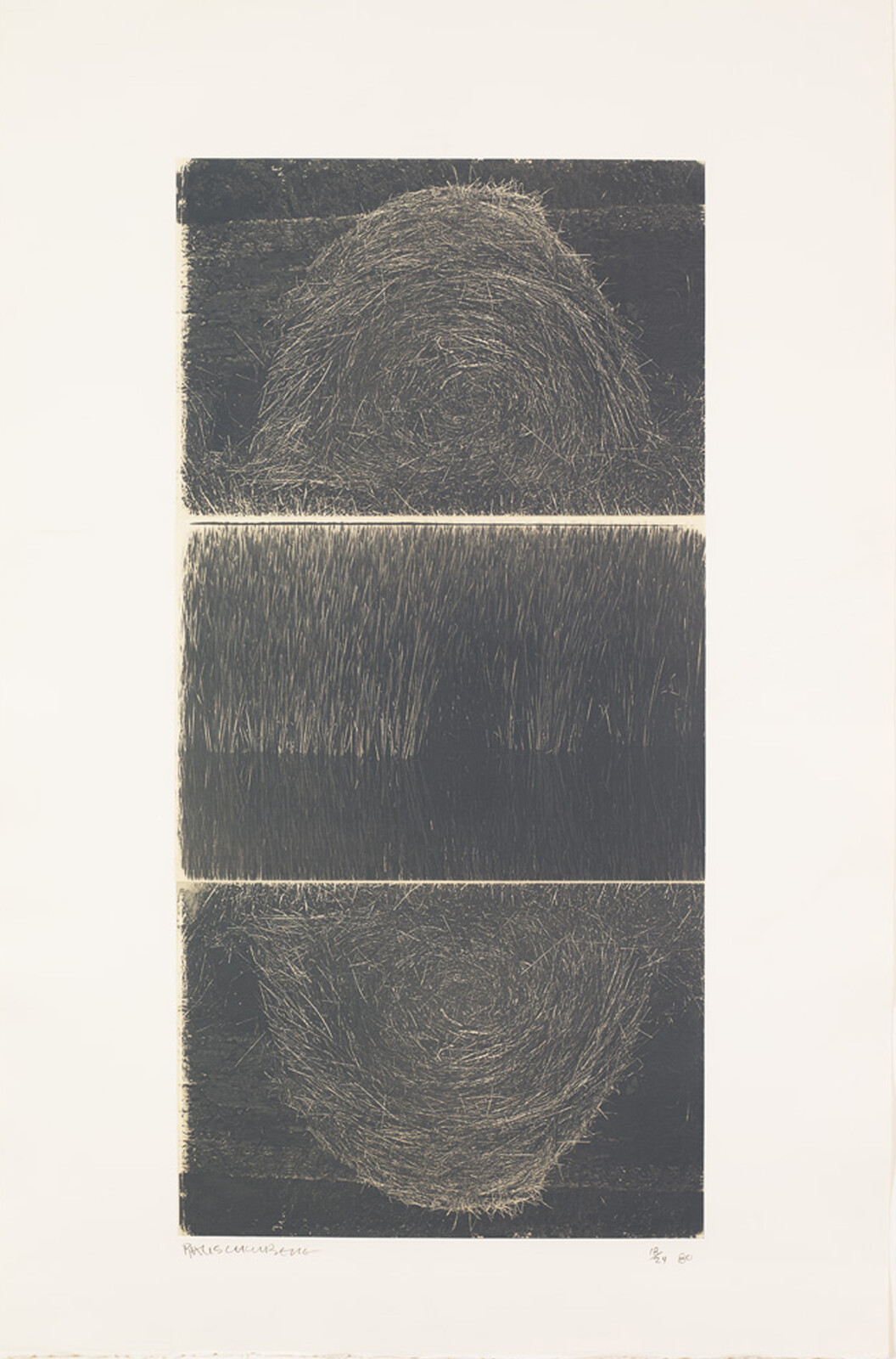 Three abstract rectangular sections with swirling and linear patterns, resembling textured surfaces or natural elements.