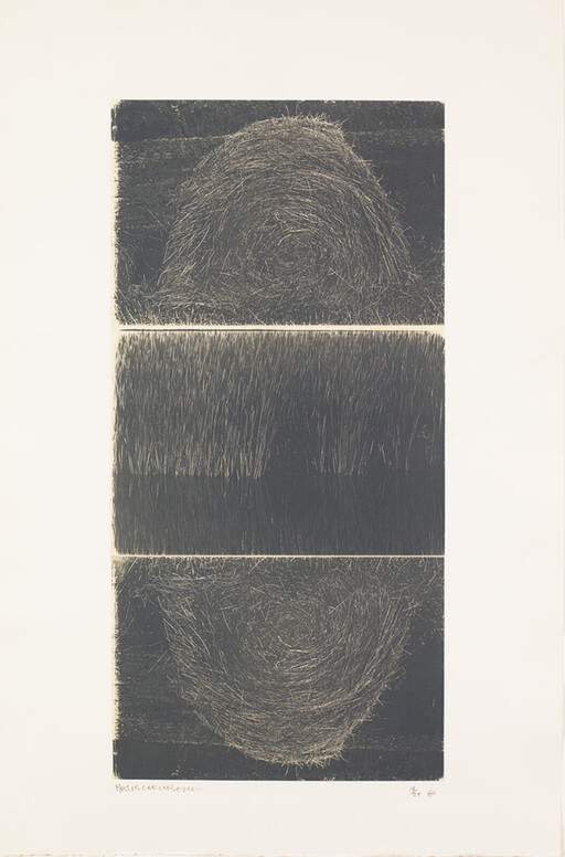 Three stacked panels show circular hay nests on top and bottom with dense vertical grass in the middle.