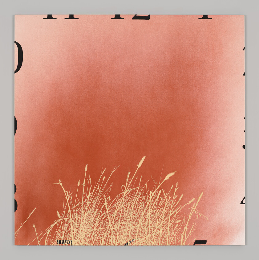 Golden tall grass silhouettes against a soft red gradient background at the bottom.