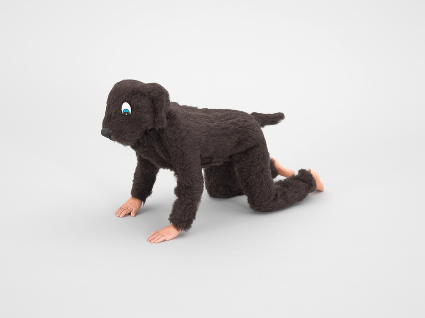 A person wearing a brown fuzzy dog costume crawls on hands and knees with bare hands and feet.