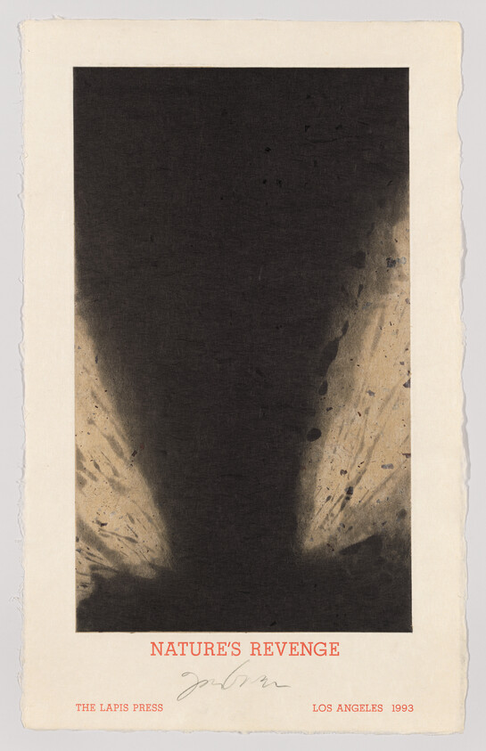 A dark tornado-like funnel dominates a print labeled Nature's Revenge at the bottom.