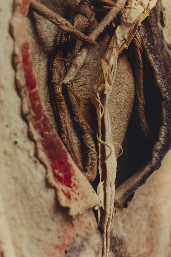 Close-up of a worn leather shoe showing frayed laces, torn lining, and faded red trim.