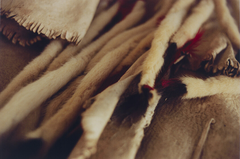 Soft tanned animal hides and fur strips with stitched red accents lying close together.