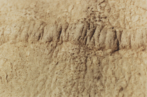 Close-up of weathered sandstone surface with vertical grooves and small pits.