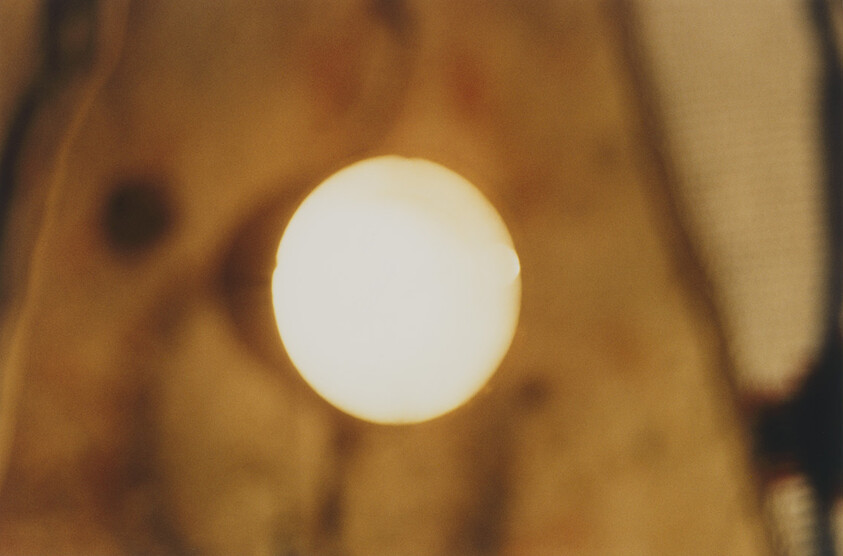 A single warm round light bulb glowing against a blurred brown background.