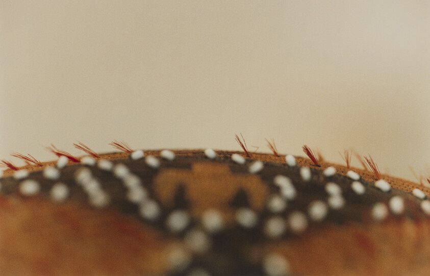 Close-up of decorative fabric with white beads and short red fringe along the edge.