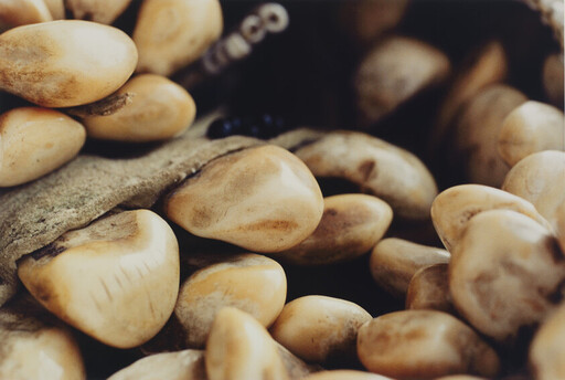 Tan seeds tightly clustered in a pod showing smooth, rounded surfaces and subtle markings.