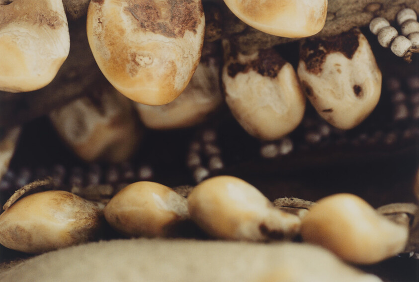 Close-up of dried yellow corn kernels clustered together on cobs with dark shadows.