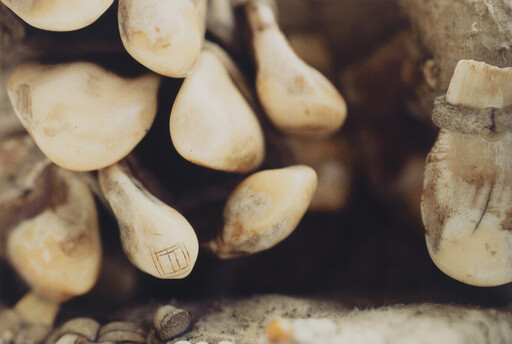 Cluster of small carved bone charms or teeth strung together, one marked with a square symbol.