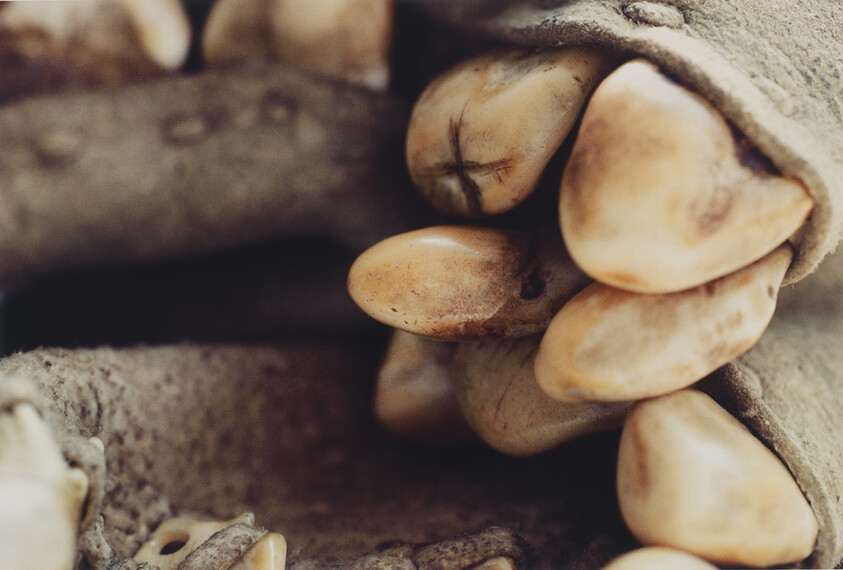 A worn glove pocket holds several smooth, pale seeds or beads clustered together.