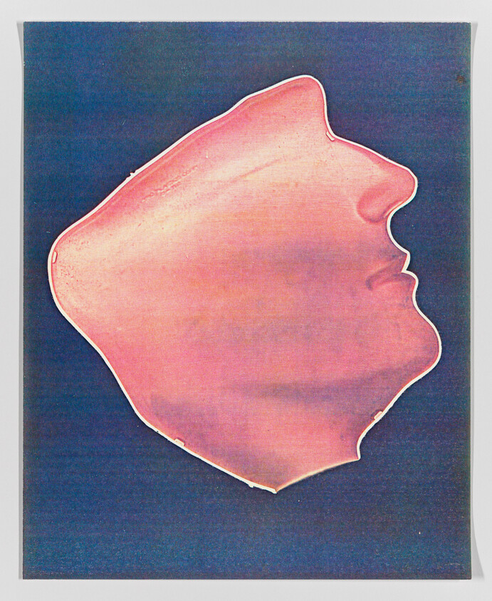 Abstract pink silhouette resembling a profile of a face against a dark blue background.