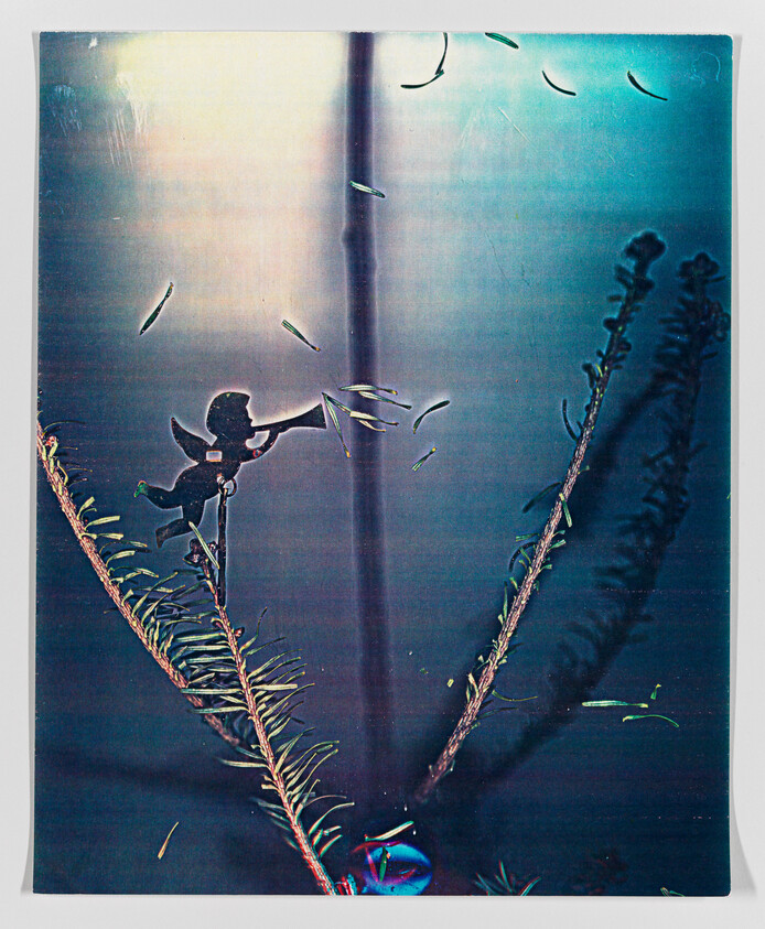 Silhouette of a cherub statue with outstretched arm among pine branches and floating seeds, with a soft light beam in the background.