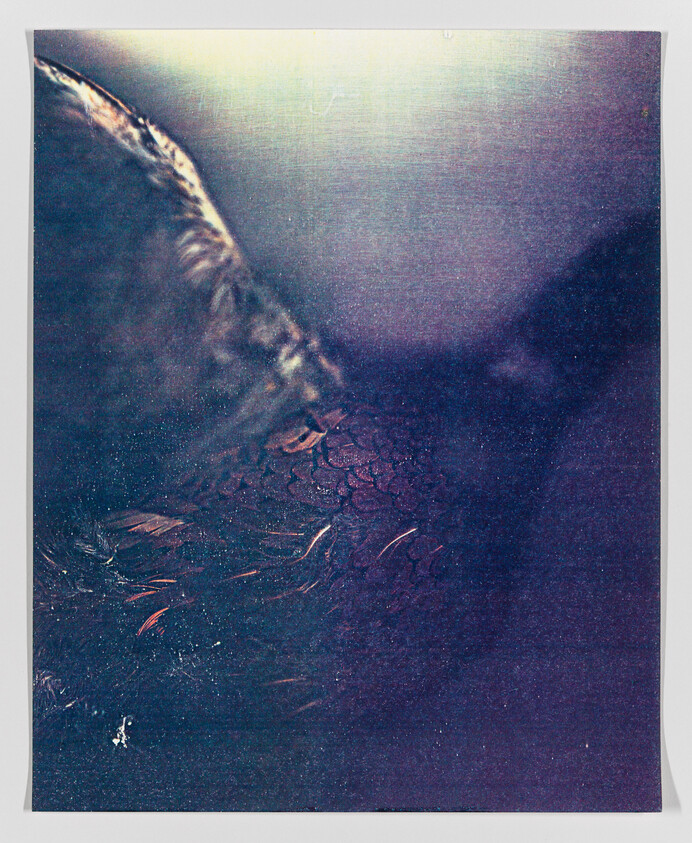 Close-up of a textured surface with a gradient from light to dark purple hues.