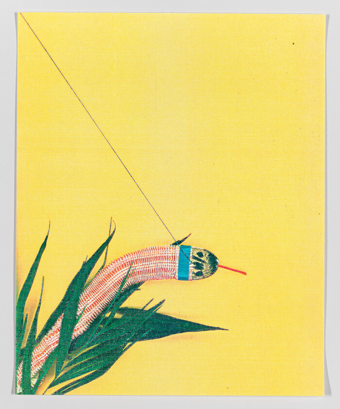 Illustration of a colorful bird with a long beak perched on green foliage against a yellow background.