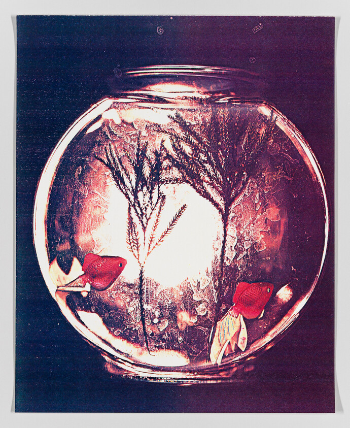 Vintage-styled image of two red fish in a bowl with plant fronds and bubbles, with a high-contrast, grainy texture.