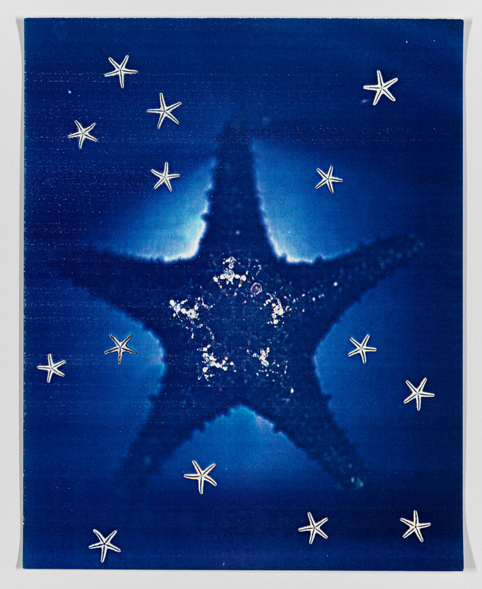 A large starfish surrounded by smaller ones against a deep blue background.