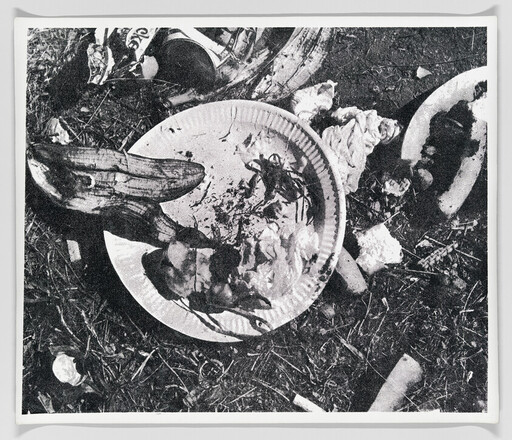 Discarded paper plates with food scraps, a broken banana peel, and litter scattered on grass.