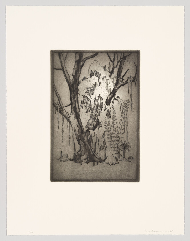 An etching of a forest scene with detailed trees, foliage, and a central tree stump surrounded by various plants. The artwork is monochromatic and exhibits fine lines and shading, creating a textured and naturalistic appearance. It is centered on a piece of paper with ample margins and signed at the bottom right.