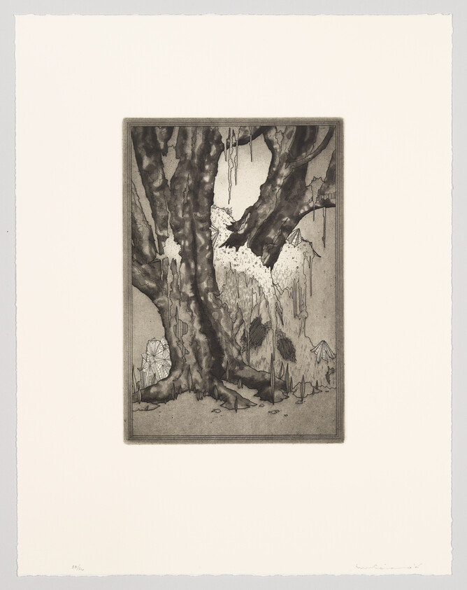 A monochromatic etching depicting a detailed, fantastical landscape with gnarled trees and jagged rock formations. The scene is framed within a border, and the print is mounted on a larger sheet of paper with visible artist's signature and edition number at the bottom.